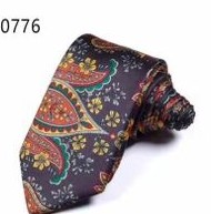 Brown Multi Paisley Tie